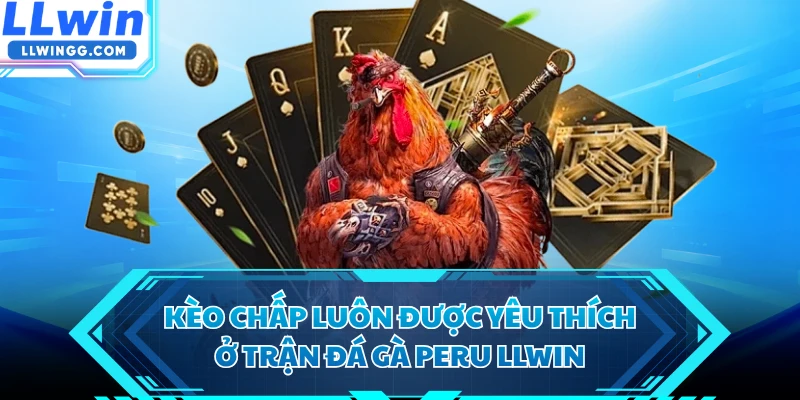 Kèo chấp luôn được yêu thích ở trận đá gà Peru LLWIN